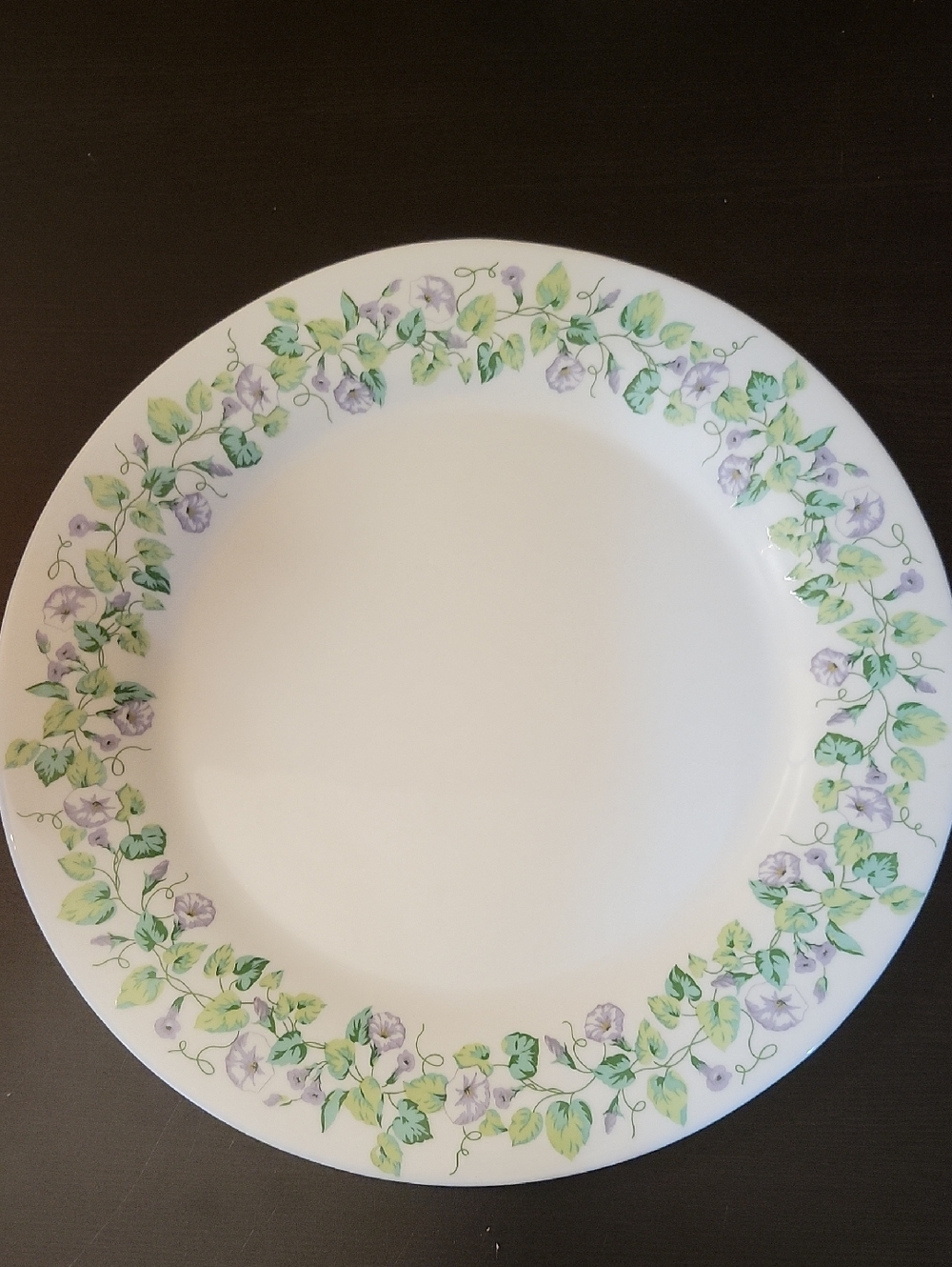 Martha Stewart Moring Glory Break Resistant Dinner Plates Set Of 6